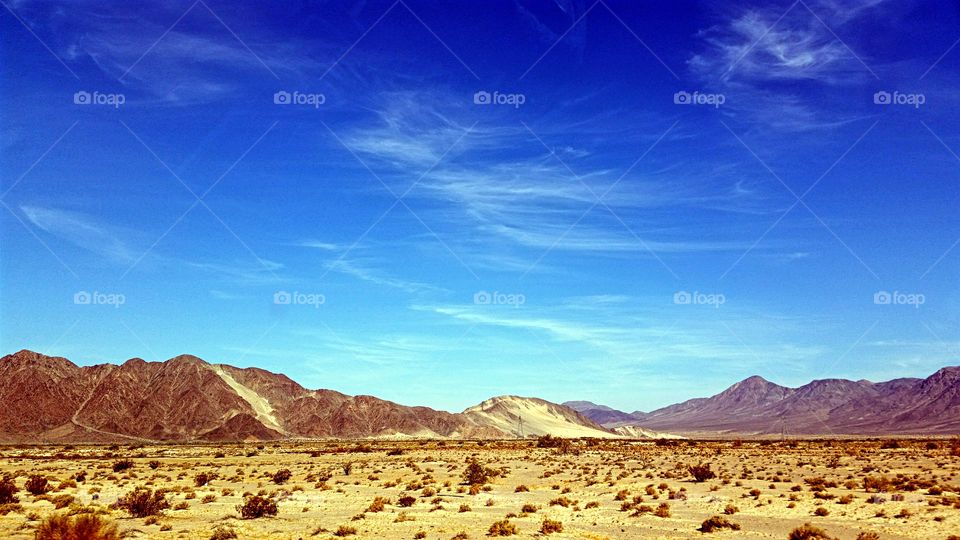 Desert Landscape. Sandy desert floor under a bright blue sky.