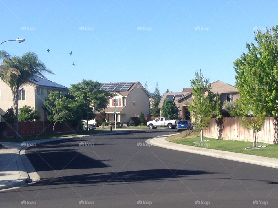 solar panells everywhere