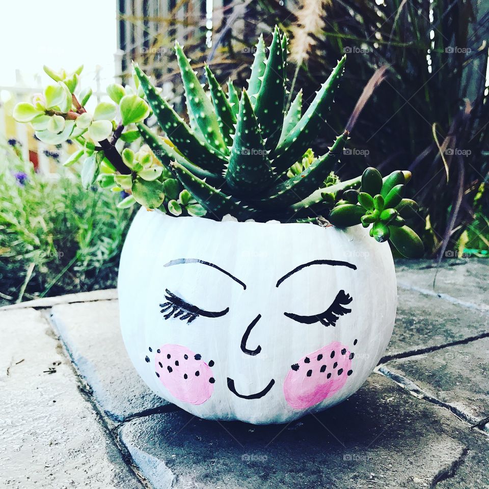 Diy Succulent pumpkin