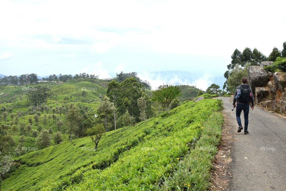 Lipton seat in Sri Lanka 