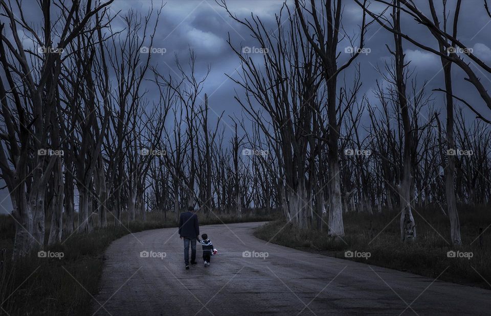 Walking among dry trees at sunset 