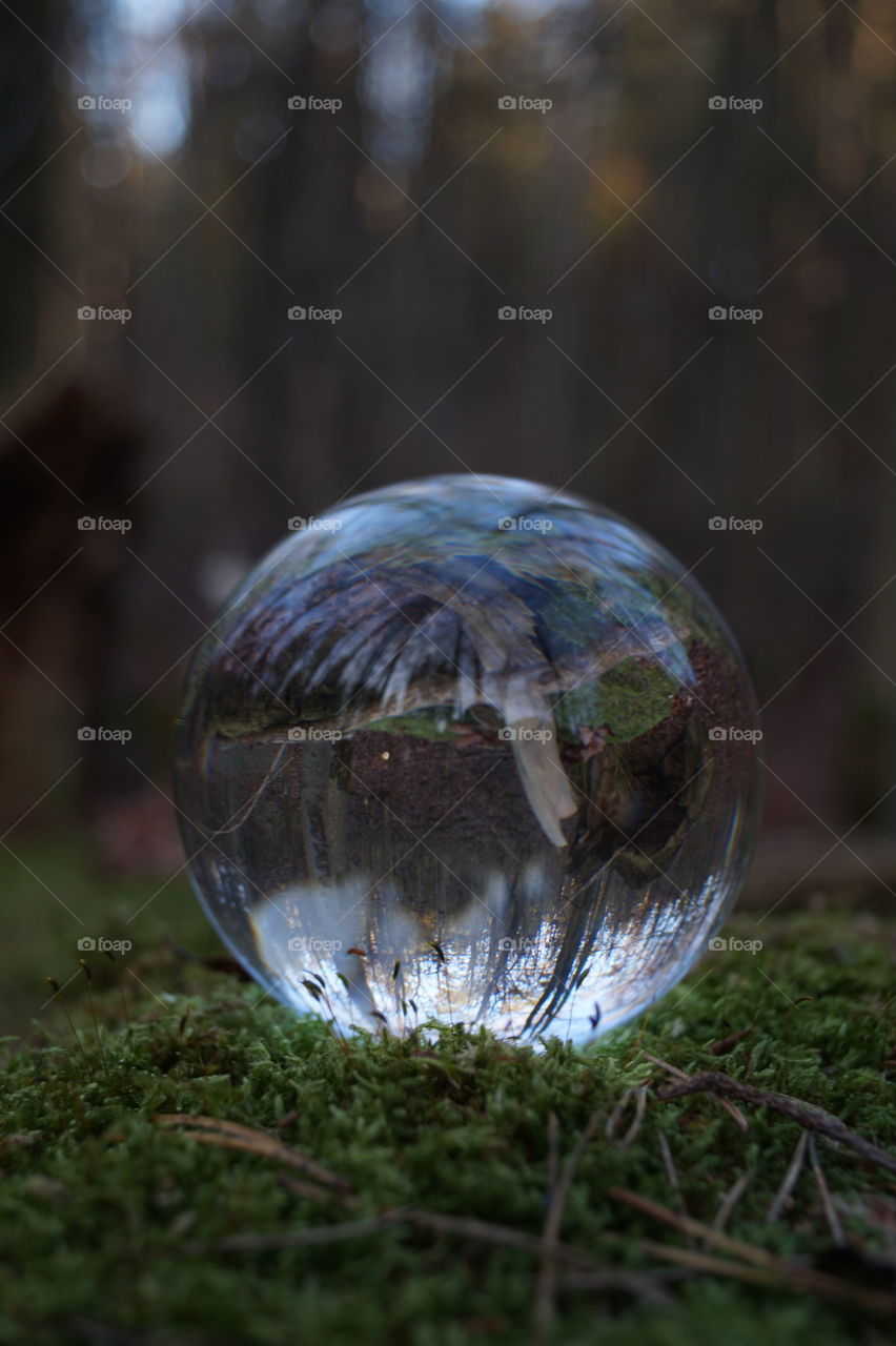 Lensball