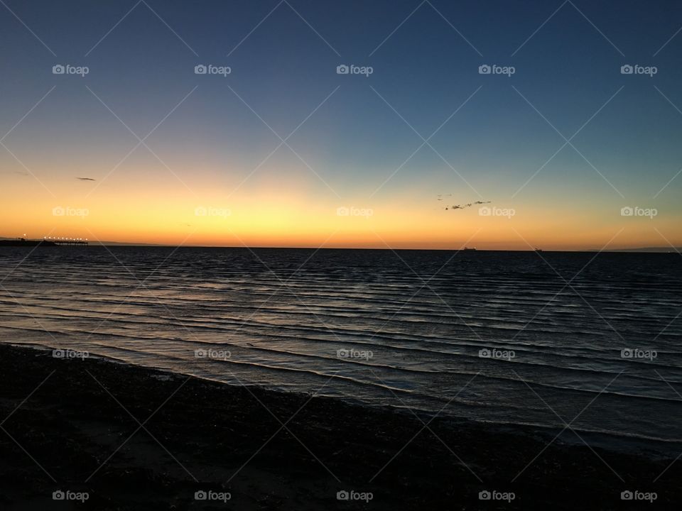 Ocean sunrise horizon, seagulls flying into sunrise, background image space for text 