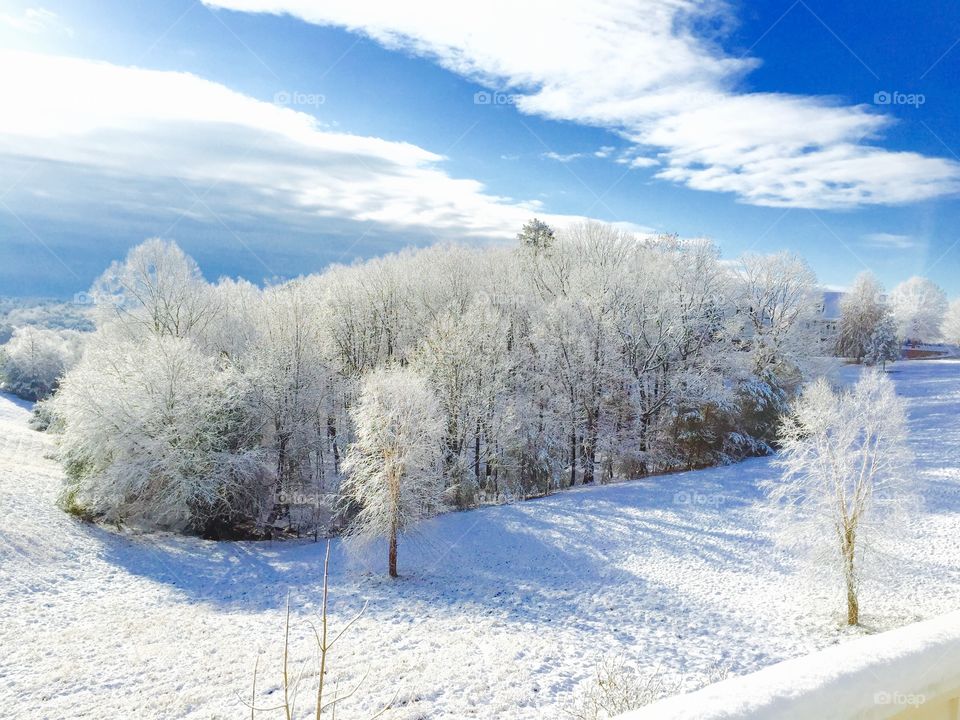 Rare snow in the North Georgia Mountains. I took this photo from my parents back porch before the snow melted. 