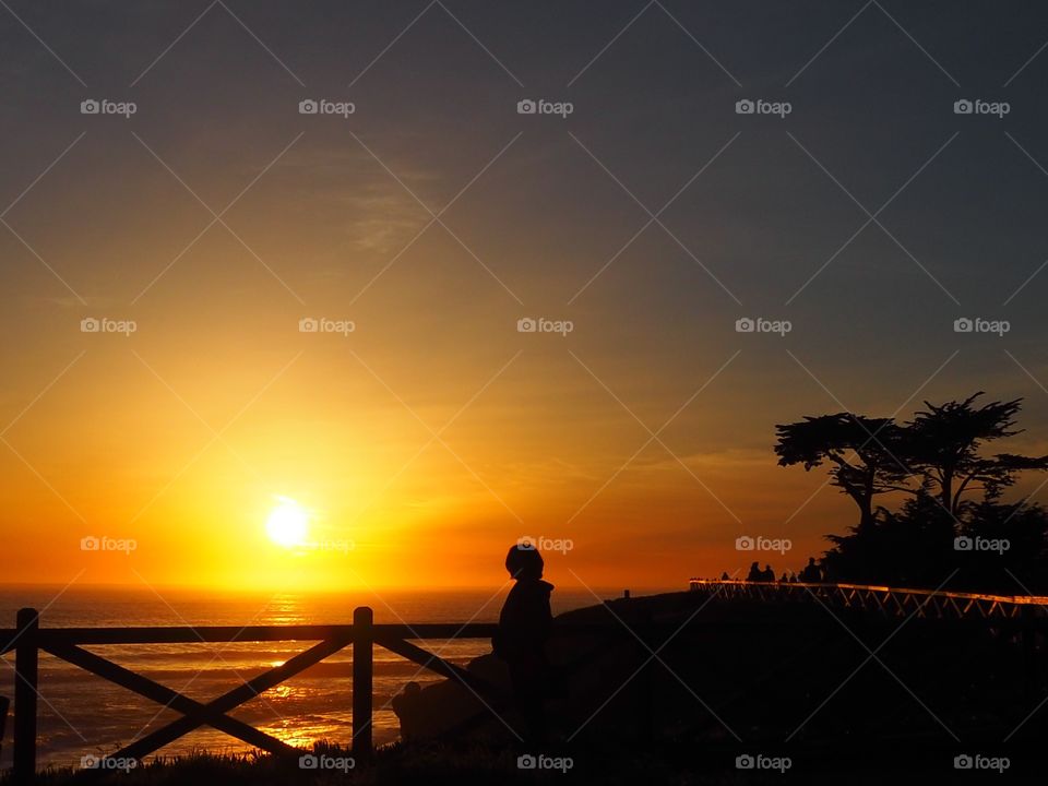 Basking in the sunset’s light.