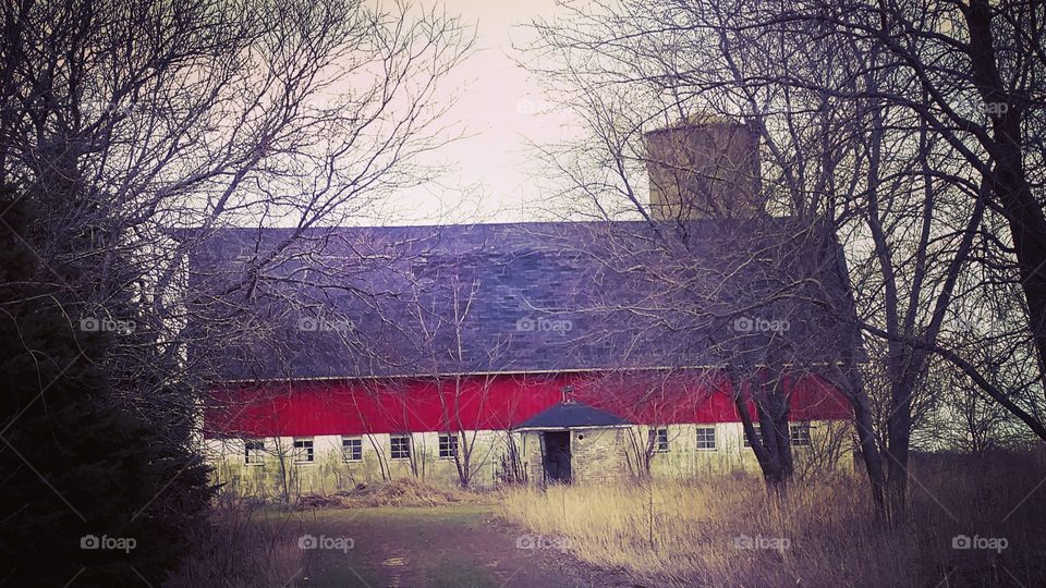 abandoned farm