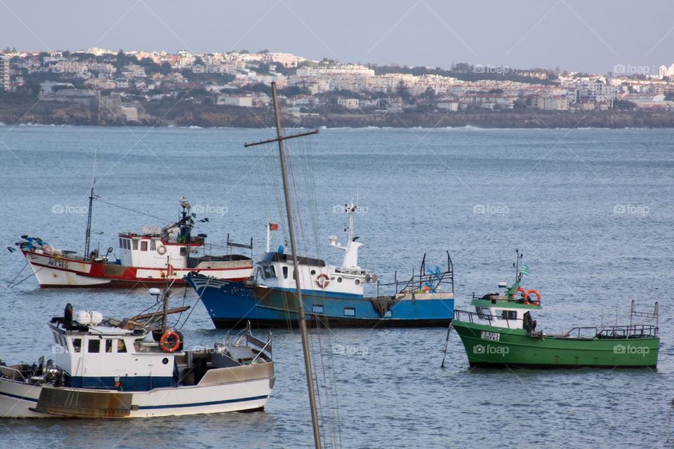 Portuguese Fishing Community