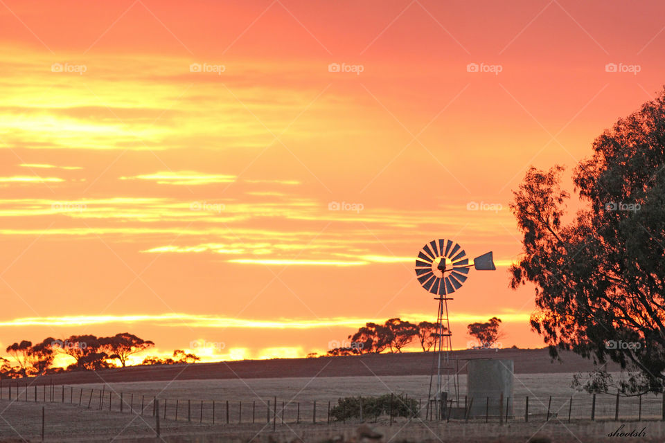 sunrise over a field silhouetting trees and an old windmill