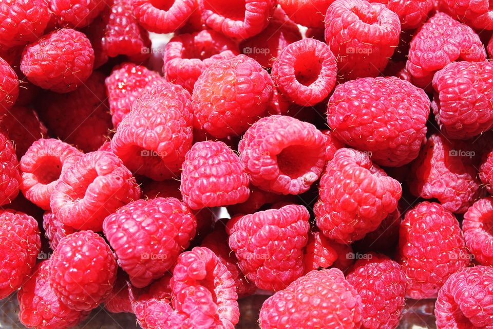 Full frame of raspberry