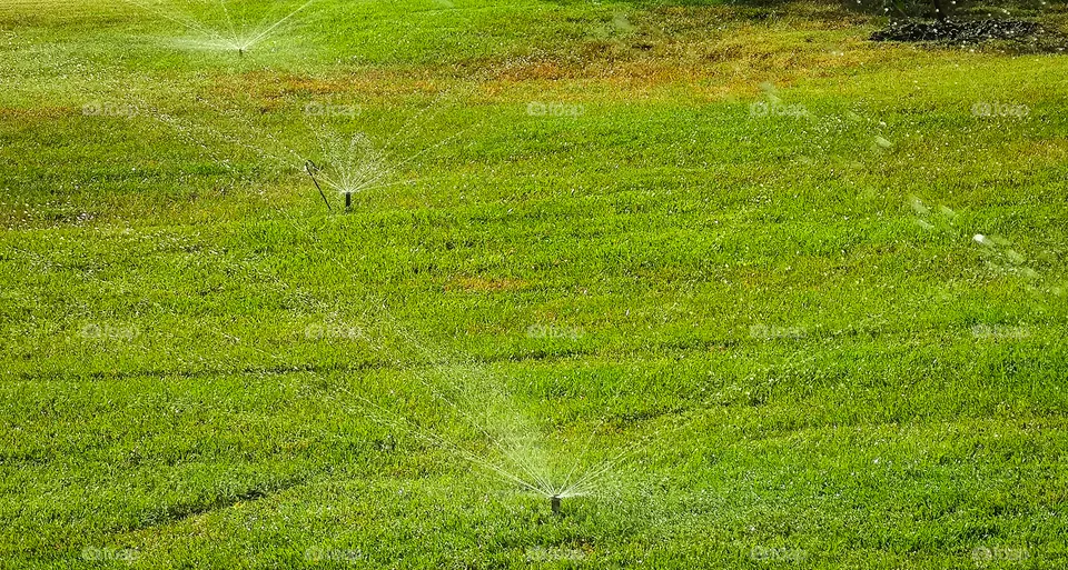 Automatic watering of the green lawn.