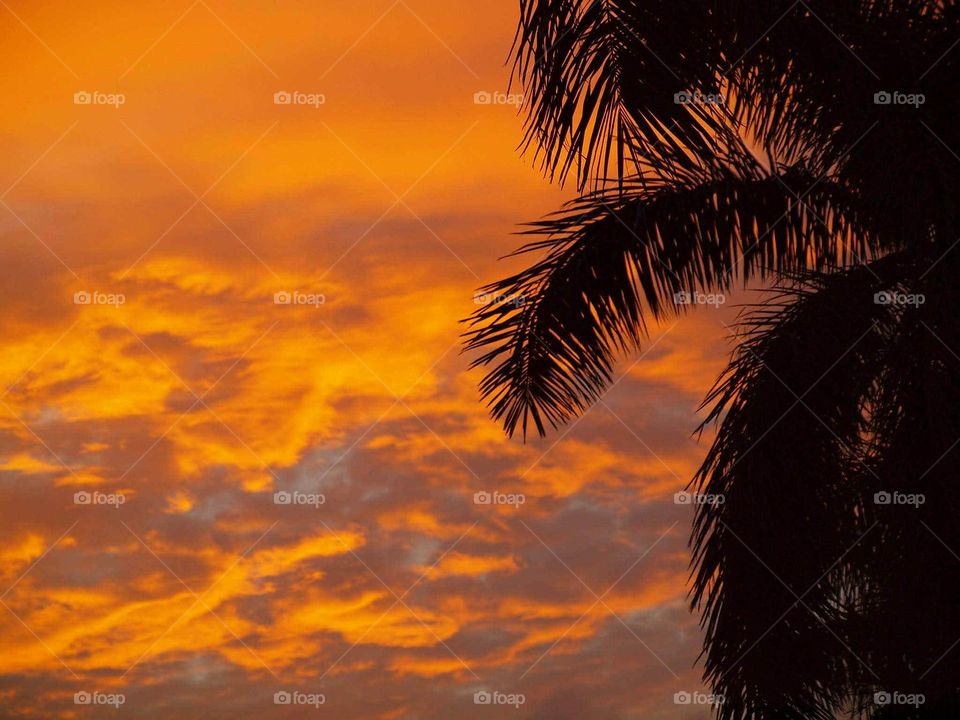 Sunset- Isla Moranda Fl / Olympus E620