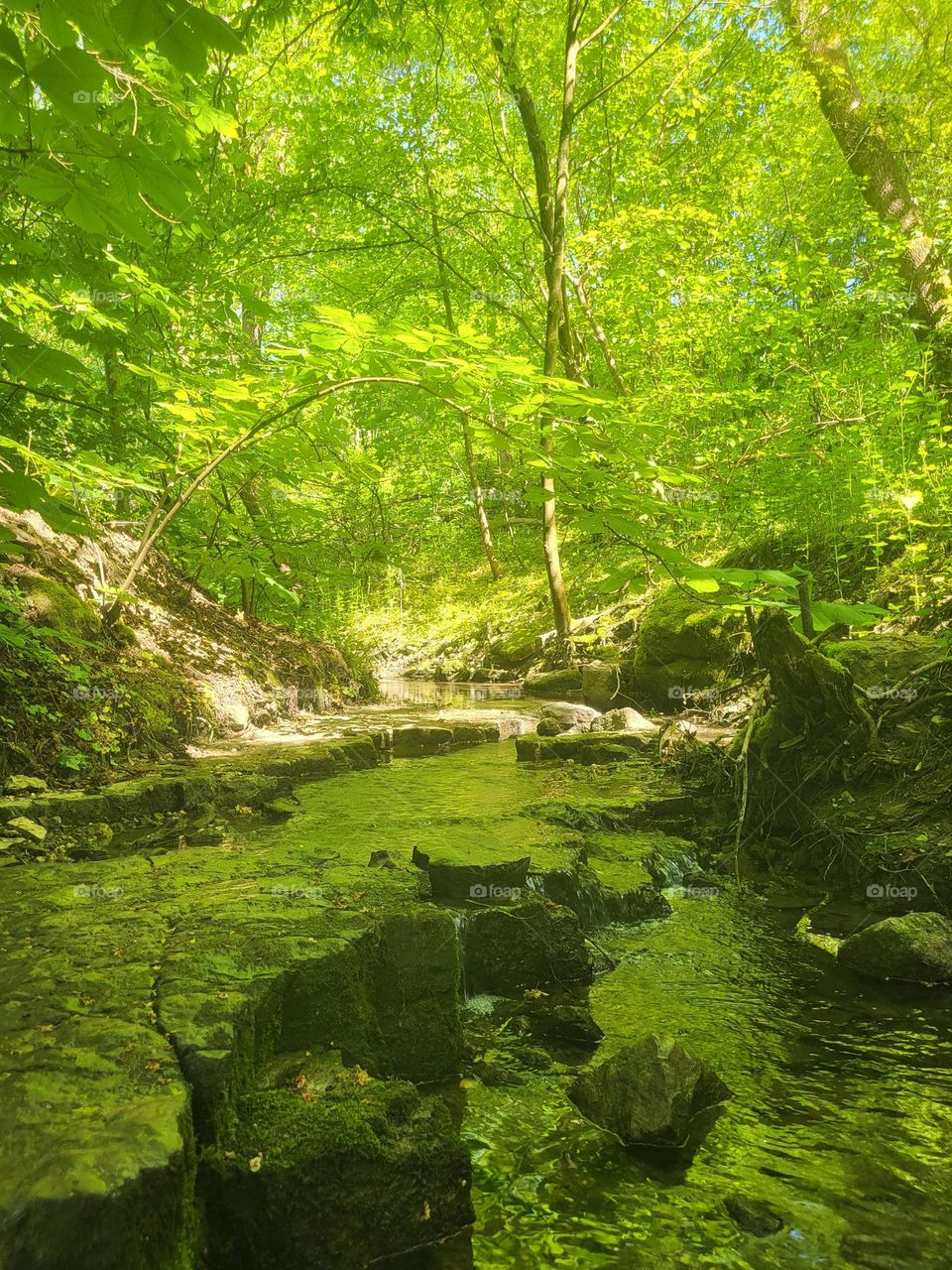 Reise in Grüne Welt , Ruhe!!!