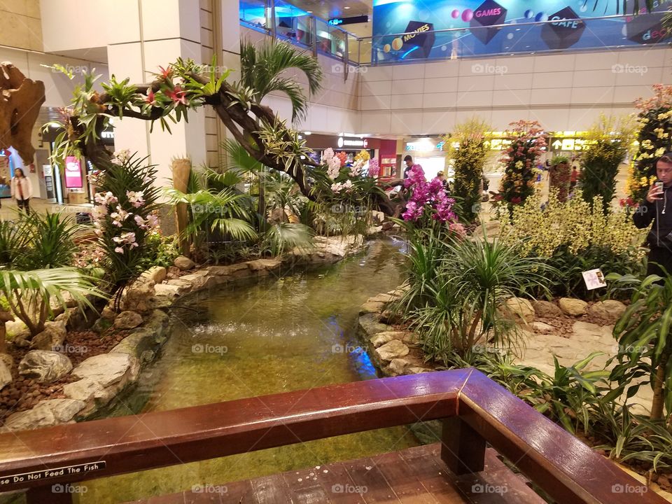 pond in the mall
