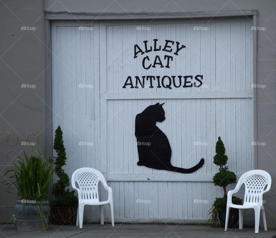 black cat store chairs by kenglund