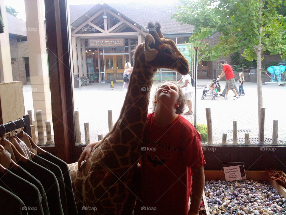 How tall is a giraffe?