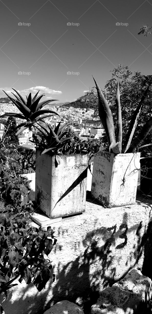 walking through town