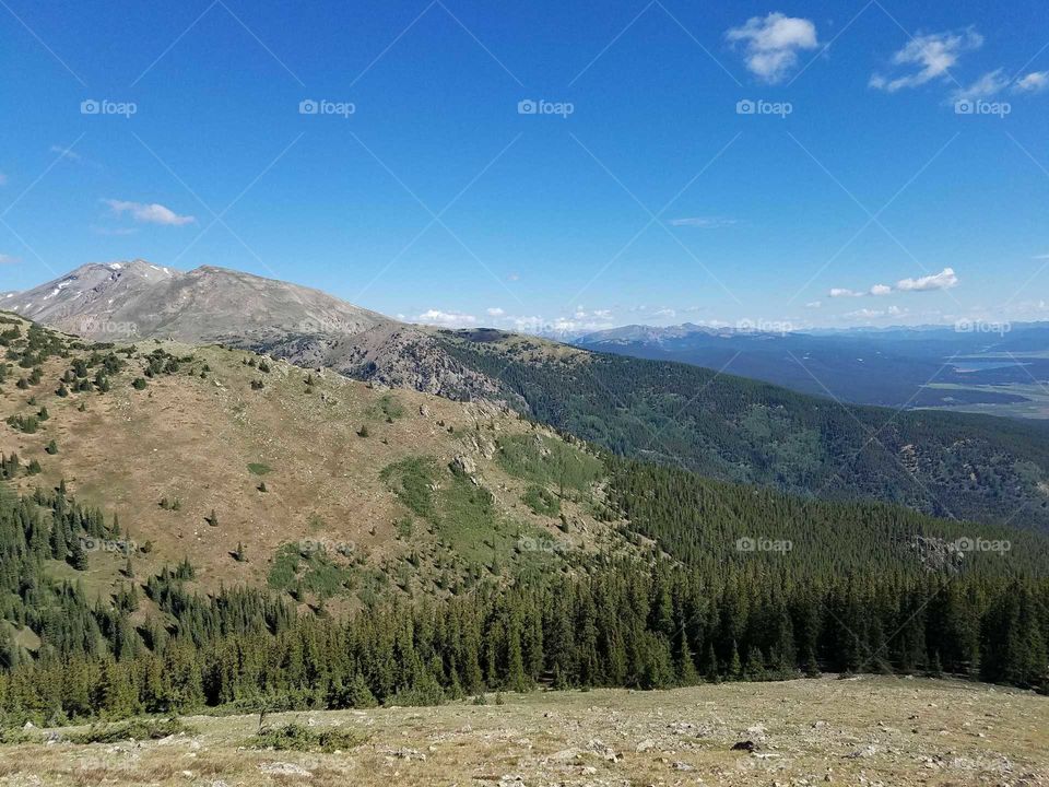 The tree line above 12,000ft in elevation.