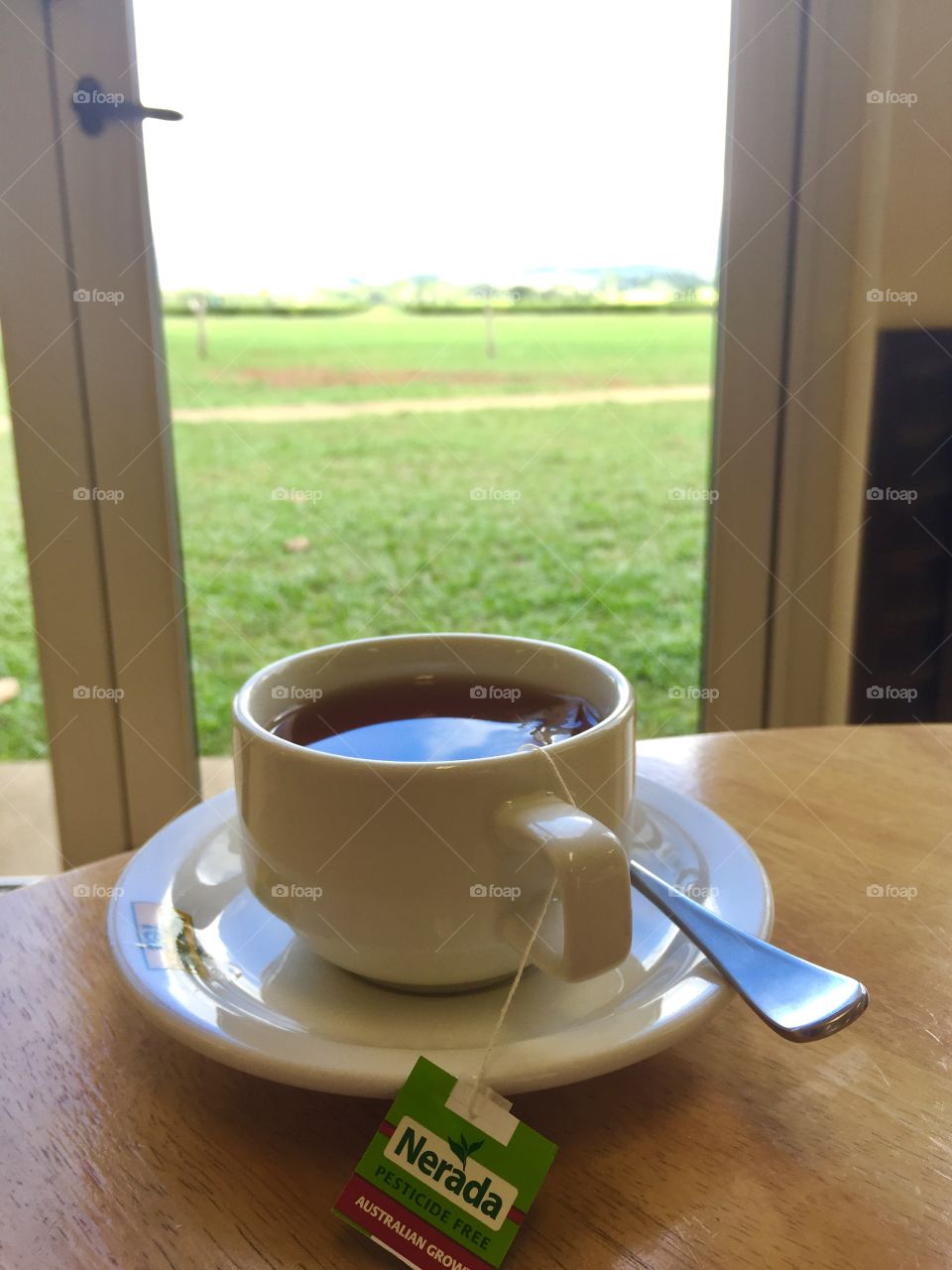 cup of tea at tea plantation 