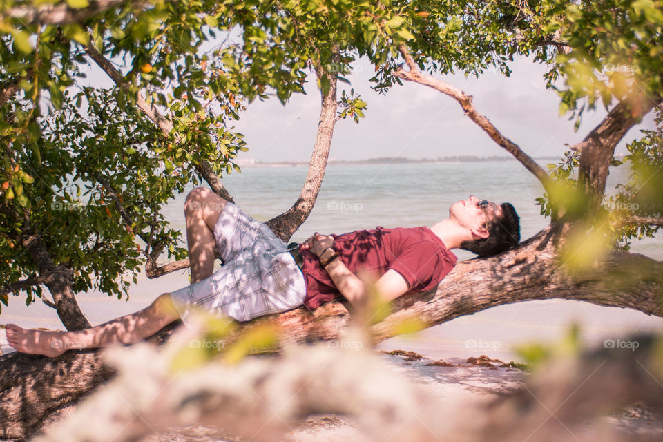 A young man lays back and enjoys the sun under tropical trees by the ocean on vacation during summer