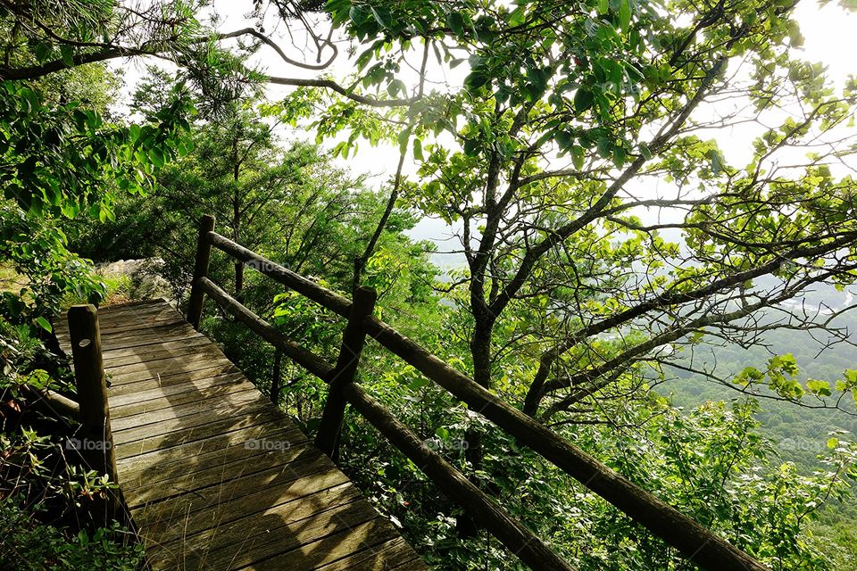 Mountain bridge. Hidden mountain top bridge