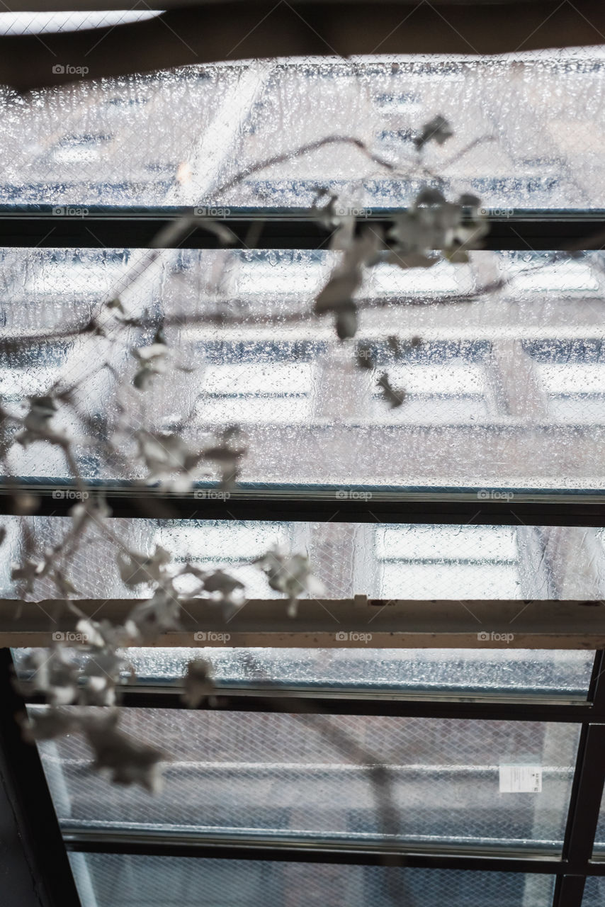 Inspiration under drop of a rainy day in New York 