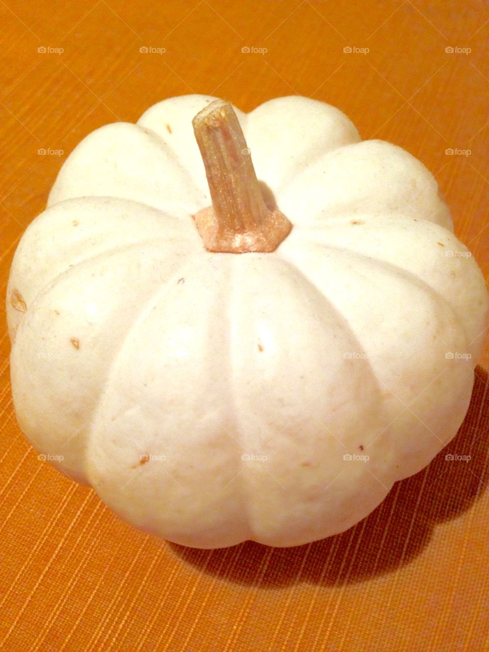 Little White Pumpkin

Published by:
HappyBrownMonkey 