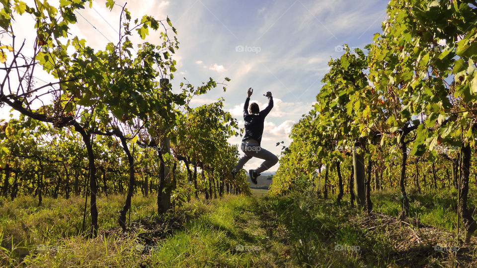 A strange jump inside the nature