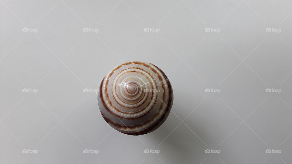 patterns on the ring