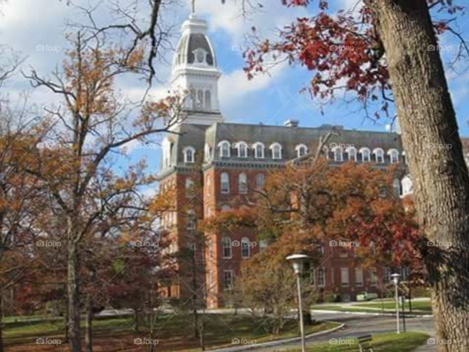 Fall in Maryland Notre dame campus