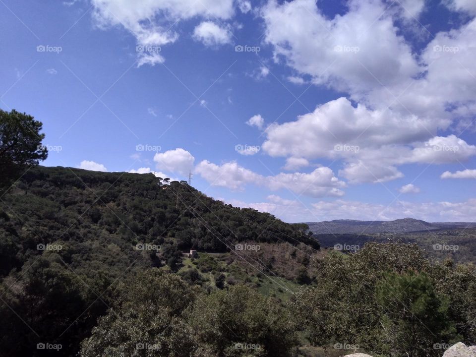 Editors' Choice: Photo of the Week