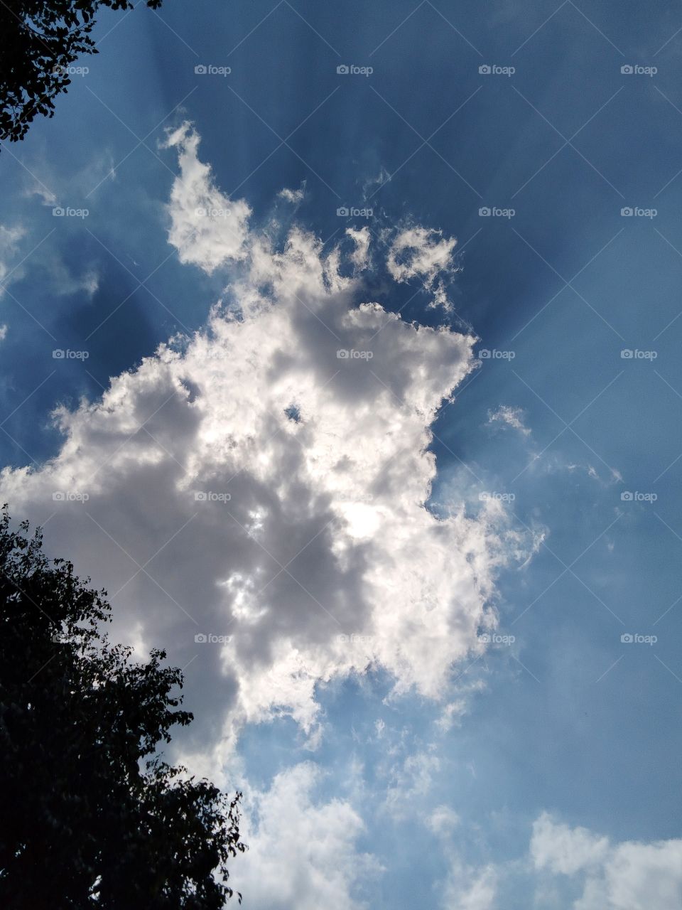 An old man in the blue sky with the sunshine .