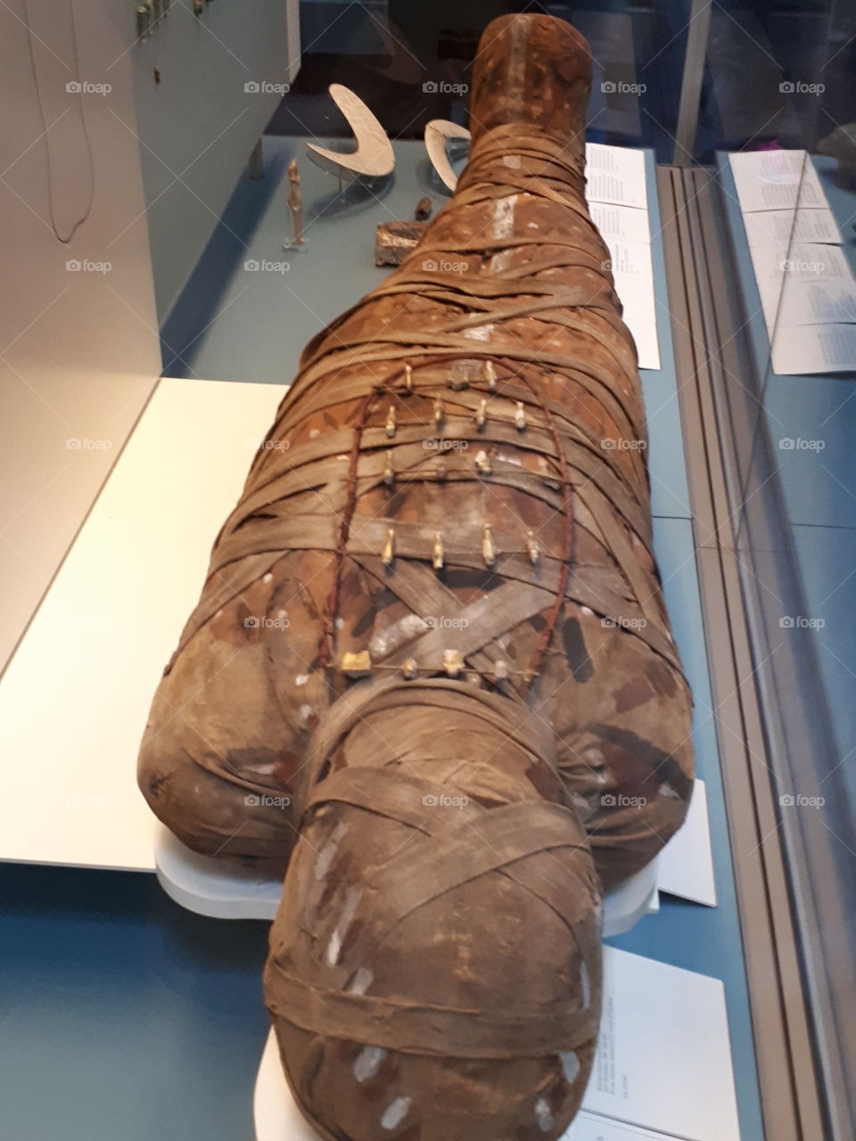 Egyptian Mummy