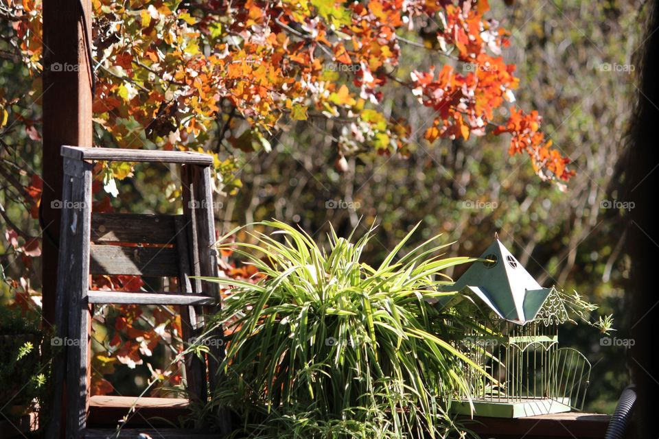 Deck Decor in Fall