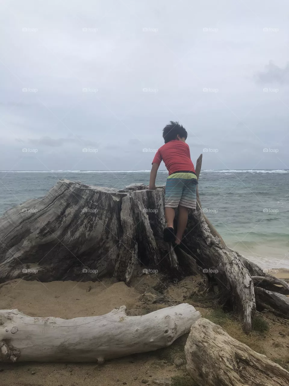 Laie