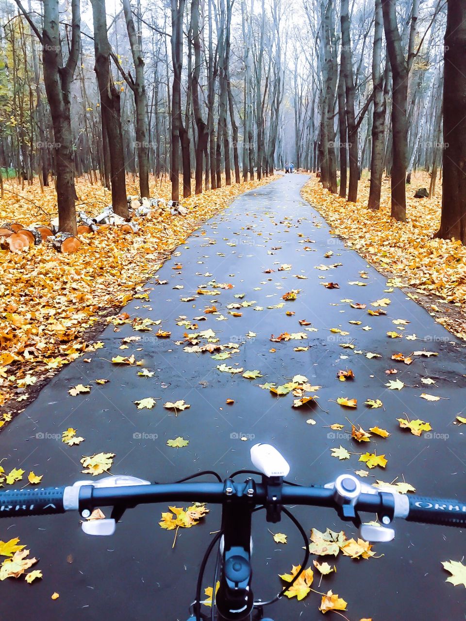 On cycling in the park park in Autumn