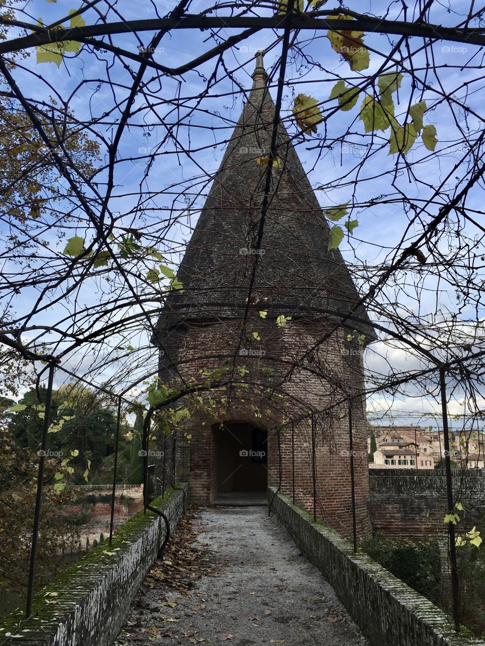 In the way to The tower 