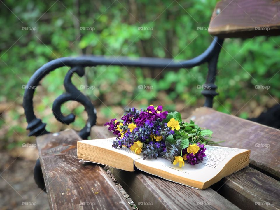 Book and spring flowers 