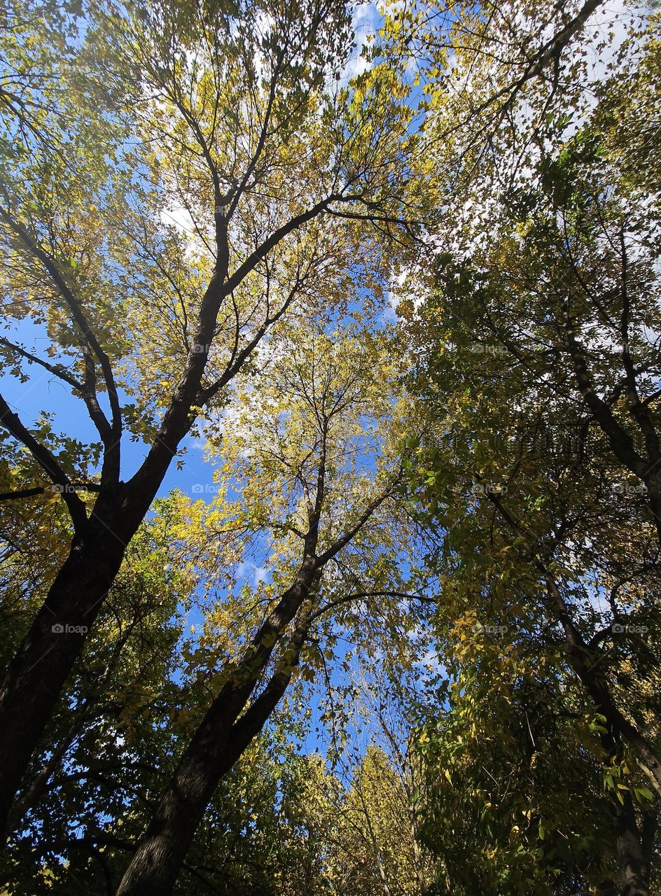 The colorful wonders of autumn