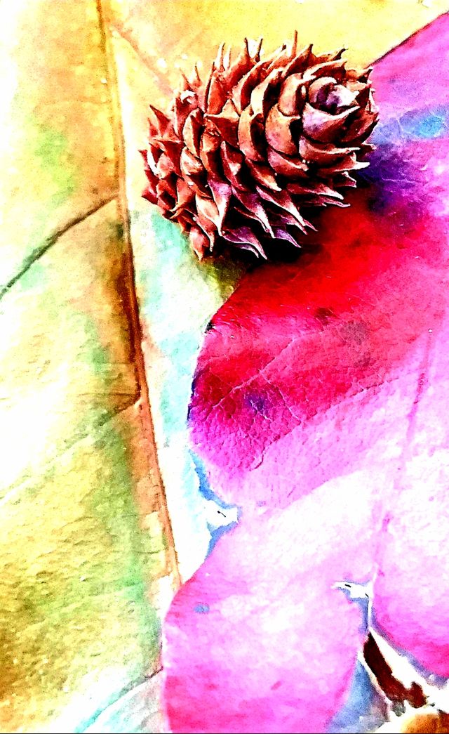 leaves and pine cone