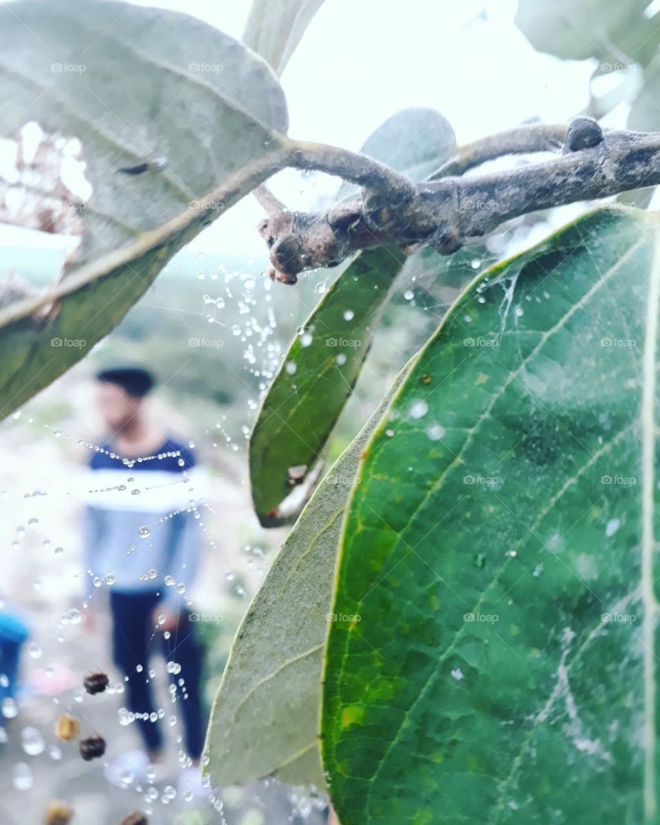 lonely beautiful click in rainy season