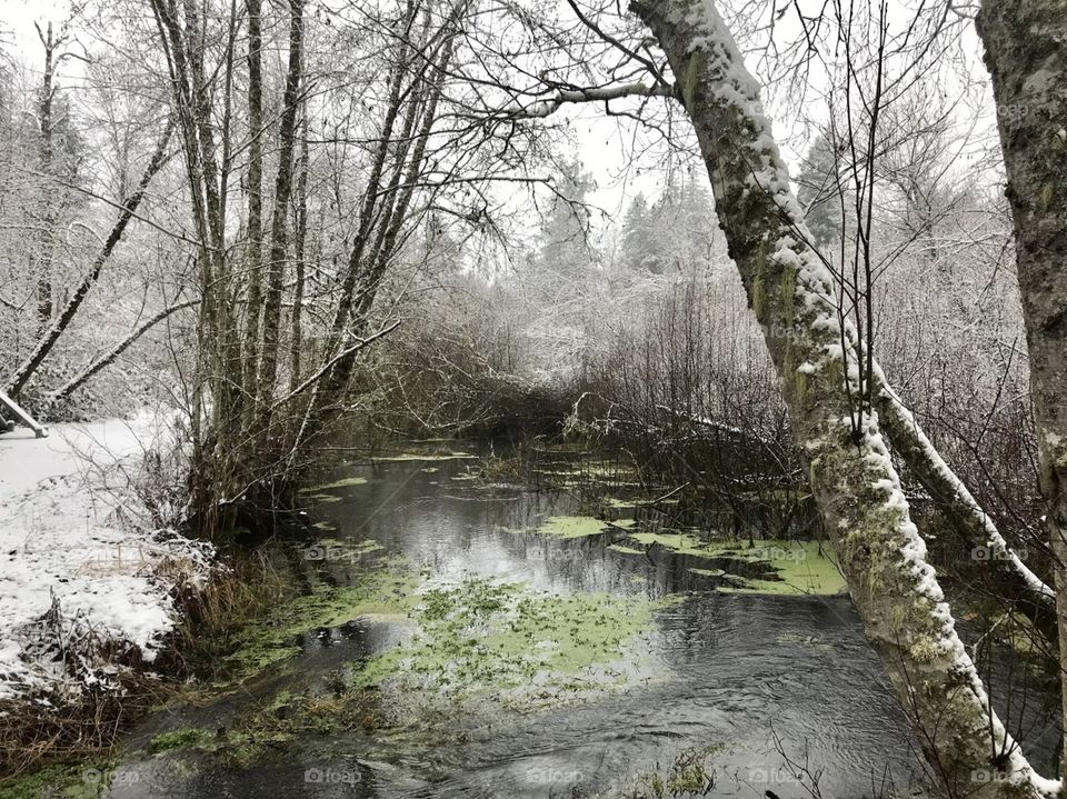 River in winter 