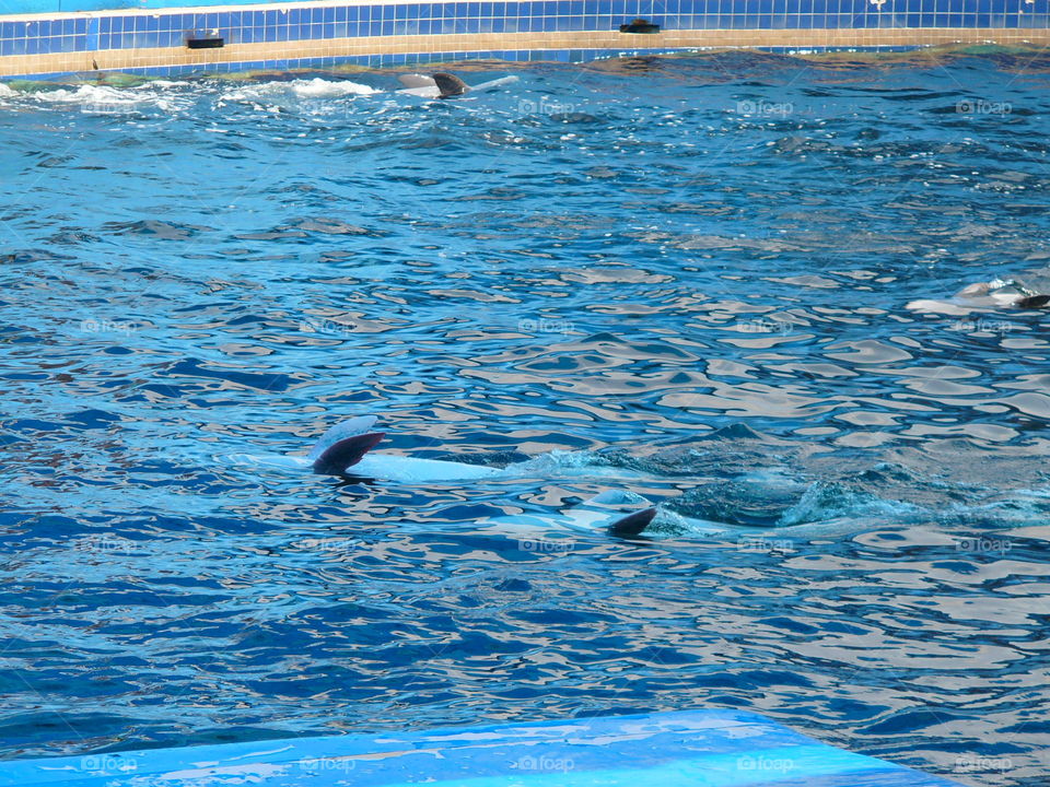 Water, Swimming, Dug Out Pool, Sea, Nature