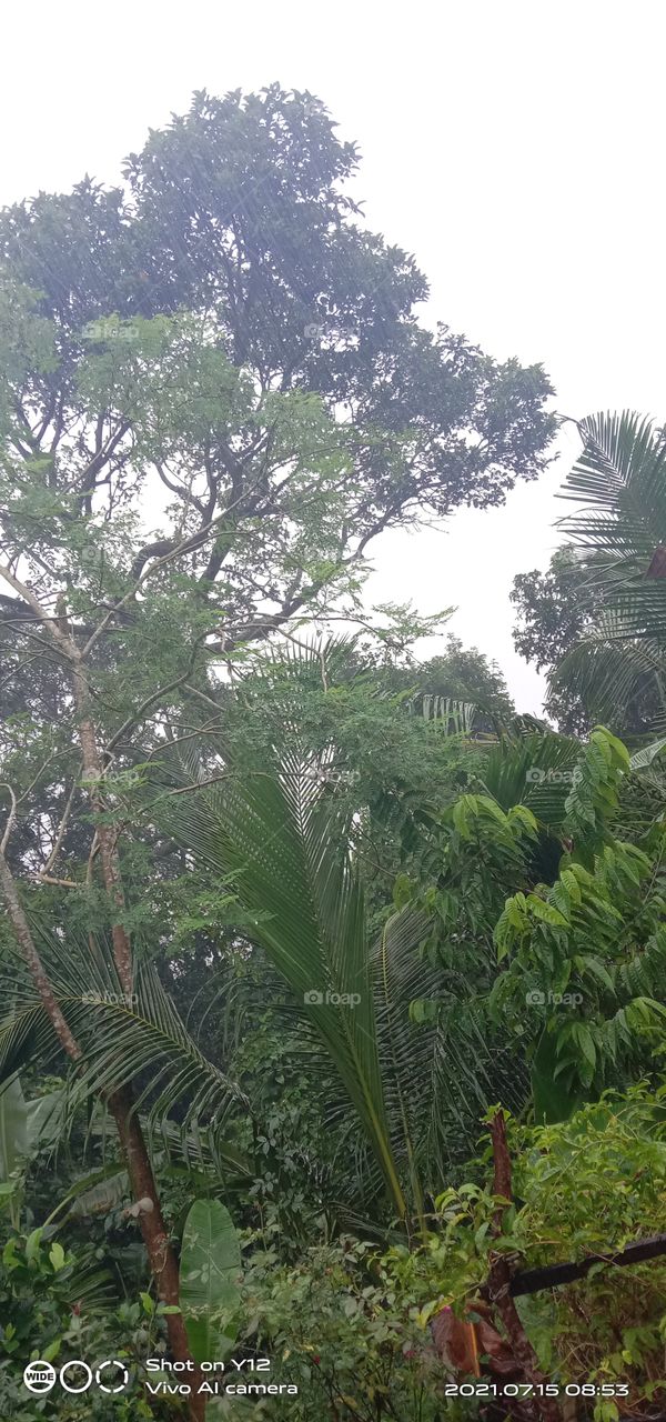 true nature, no filter