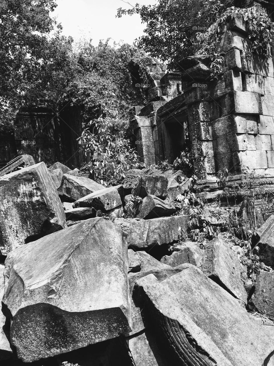Black and White. Possible Flooded Ruins in the past. Cambodia. Nature vs. Architecture and Spirit with Nature. 