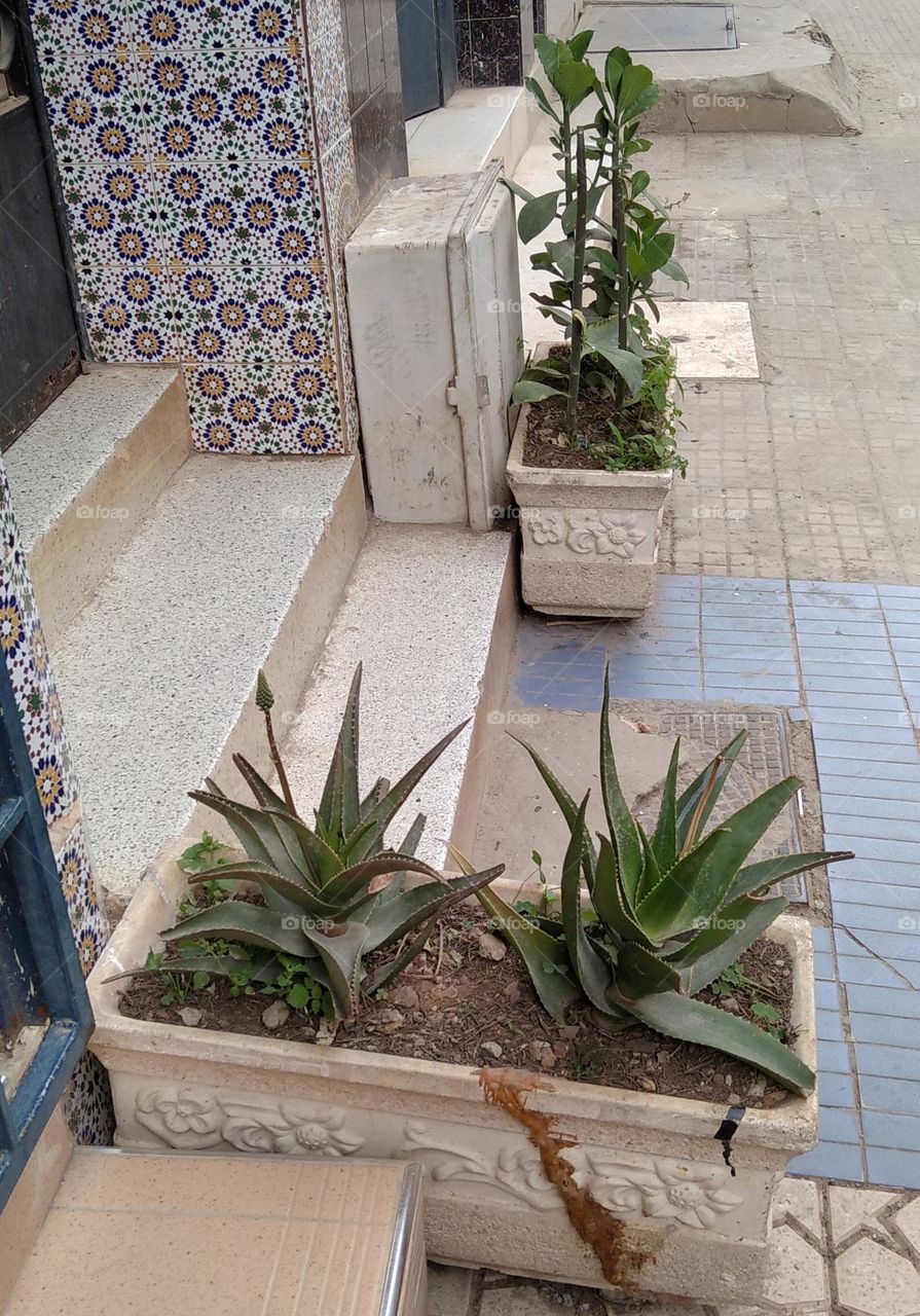 A picture of the entrance to a house