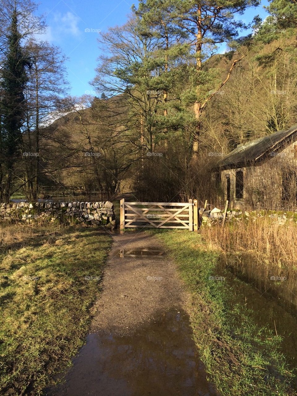 Countryside Walk