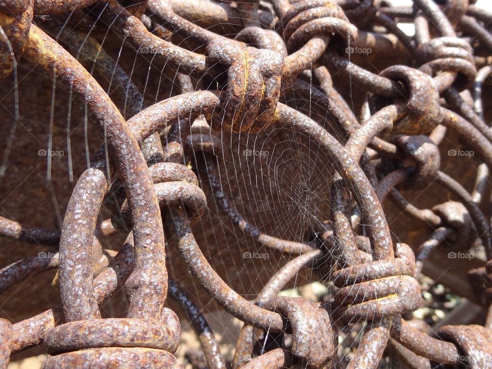 Iron Cobwebs