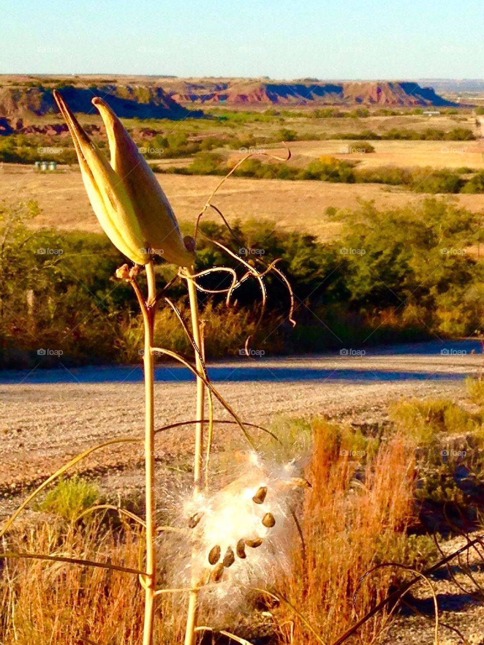 Autumn Gloss Mountains