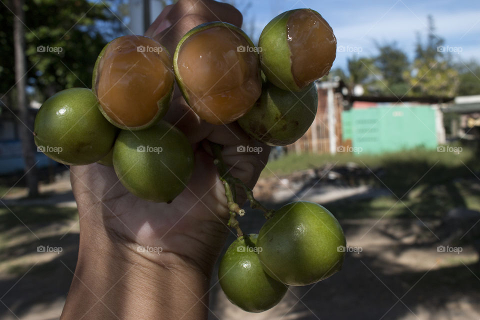 Quenepas