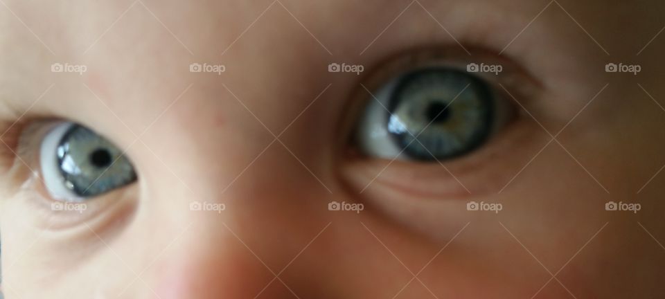 beautiful babies eyes up close